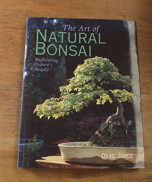 THE ART OF NATURAL BONSAI