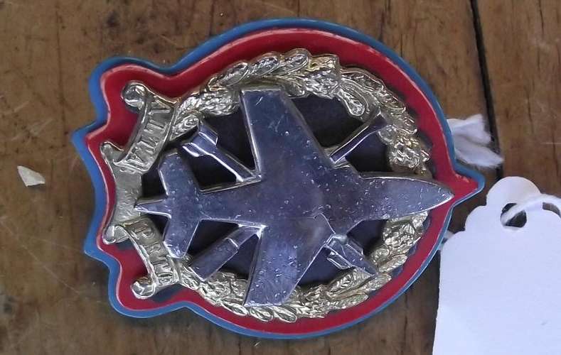 BADGE OF A JET MARKED ALTA PETE