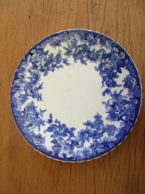 BLUE AND WHITE PLATE TRANSFER OF FOLIAGE