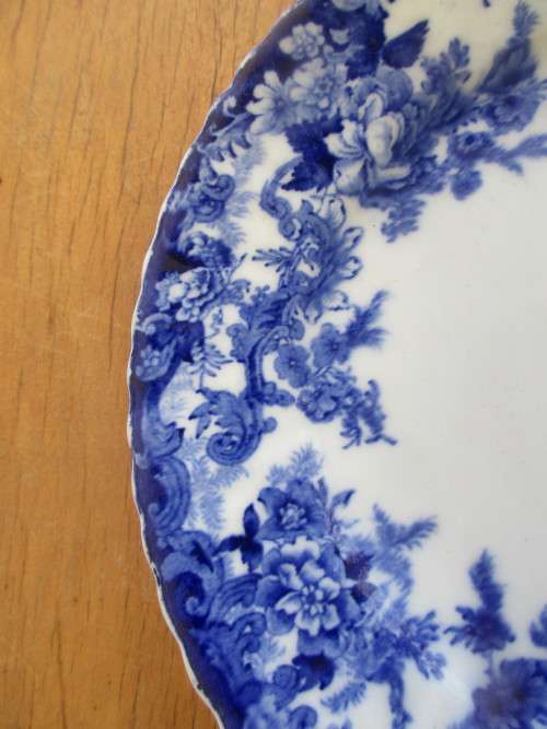 BLUE AND WHITE PLATE TRANSFER OF FOLIAGE
