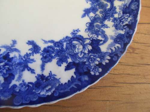 BLUE AND WHITE PLATE TRANSFER OF FOLIAGE