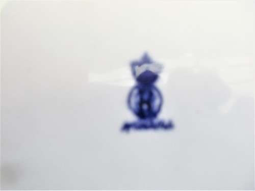 BLUE AND WHITE PLATE TRANSFER OF FOLIAGE