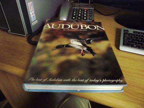 AUDOBON