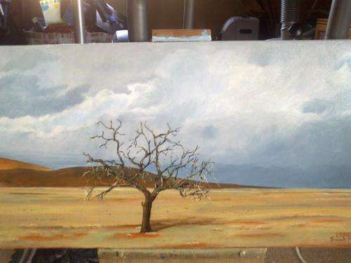 Namibian landscape