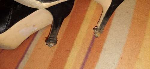Ladies shoes/boots for sale. See pics