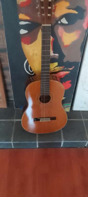 Washburn classical accoustic /electric guitar