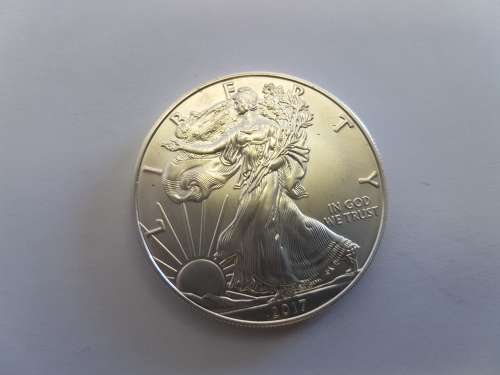 20 X USA 1 Oz Silver American Eagle