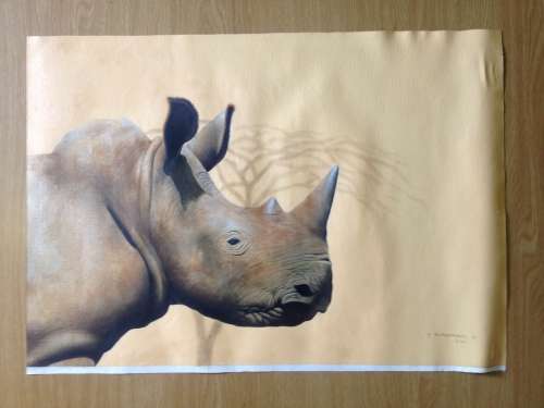 Rhinoceros by Matthew Gerard Alexander (2007)