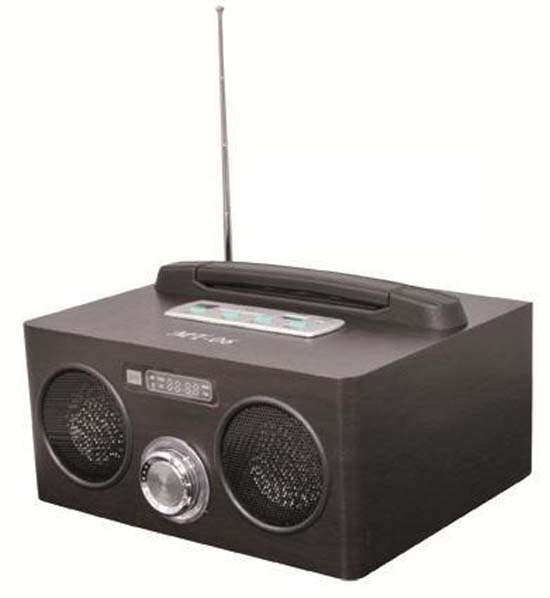 HAVIT PORTABLE SPEAKERS WITH BUILTIN FM RADIO, MP3 PLAYER, USB, CARD READER, RECHARGABLE BATTERY