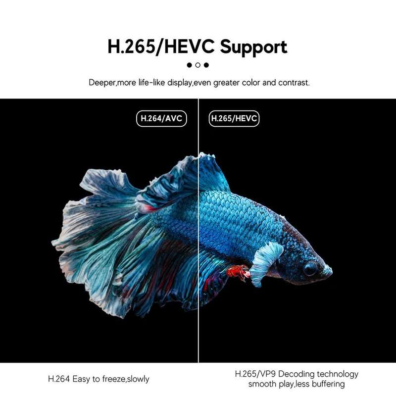 H313 Android 10 TV Stick HDR Set Top OS 4K 1080P WiFi 6 2.4/5.8G Smart TV Sticks