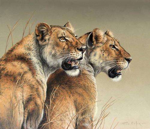 FUZ CAFORIO - CRAZY ART CLEARANCE SALE
