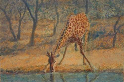 mark enslin oil painting  - giraffe