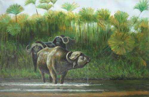 african wildlife buffalo oil painting