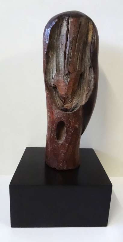 aggrey zata
