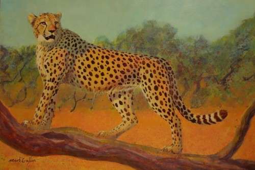 mark enslin oil painting - cheetah