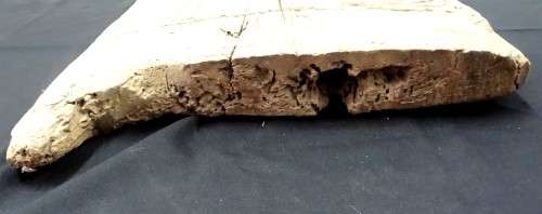 tonga door panel