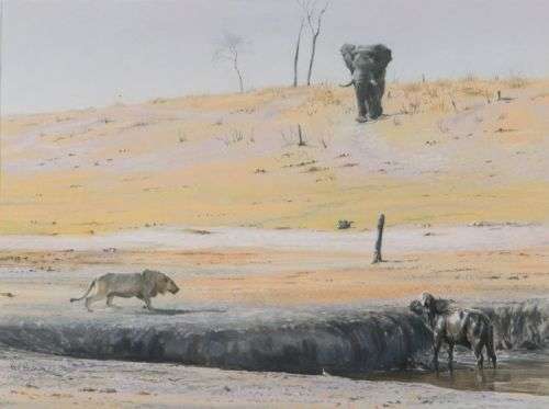 paul bosman - wildlife art - elephant and lion at waterhole