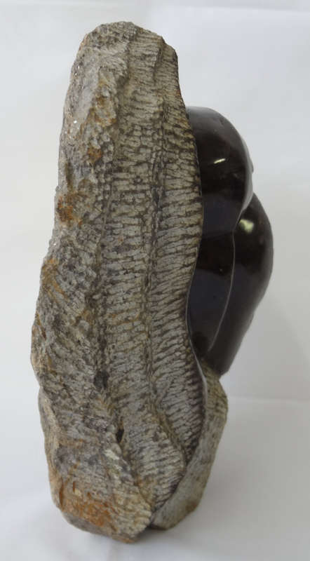 moyo - bird - shona stone sculpture