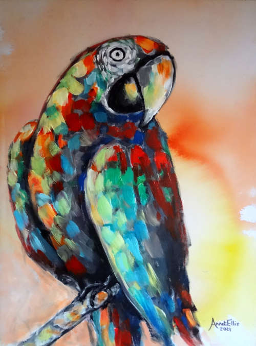 annet ellis oil painting parrot