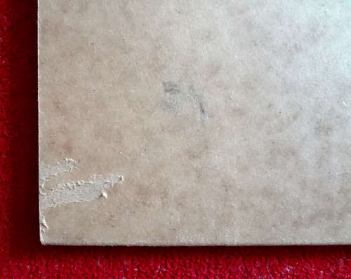 marlene dumas portfolio case and colophon for `fog of war`