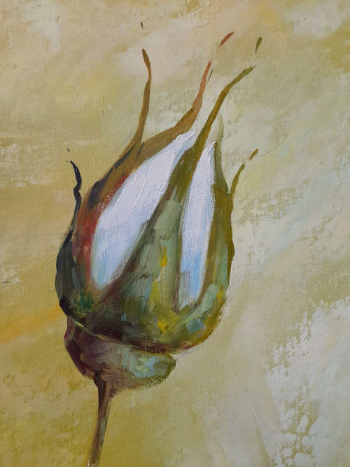 framed rose study oil painting