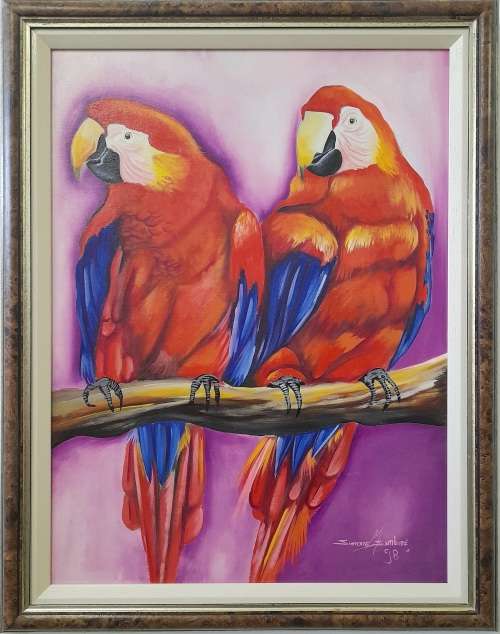 simone msimbine - parrots