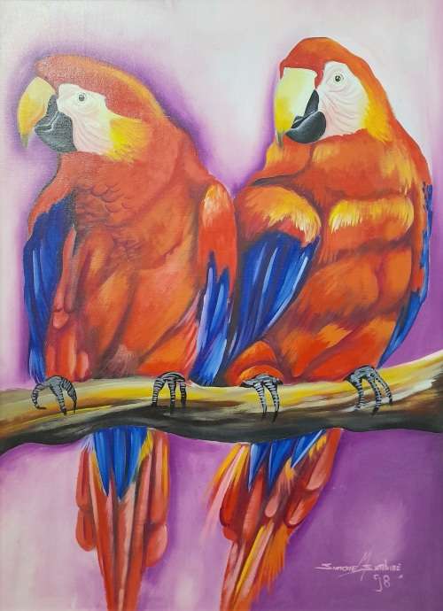 simone msimbine - parrots