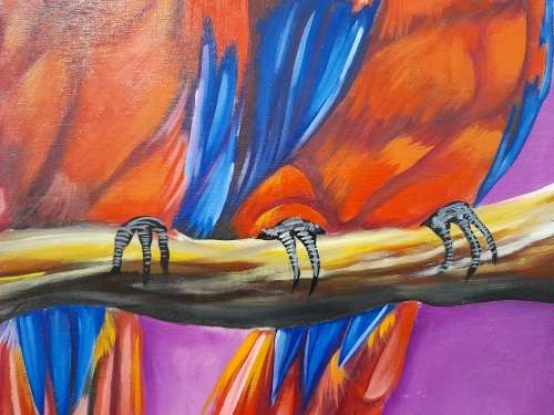 simone msimbine - parrots