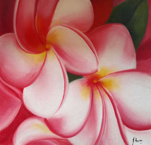floral frangipani oil painting