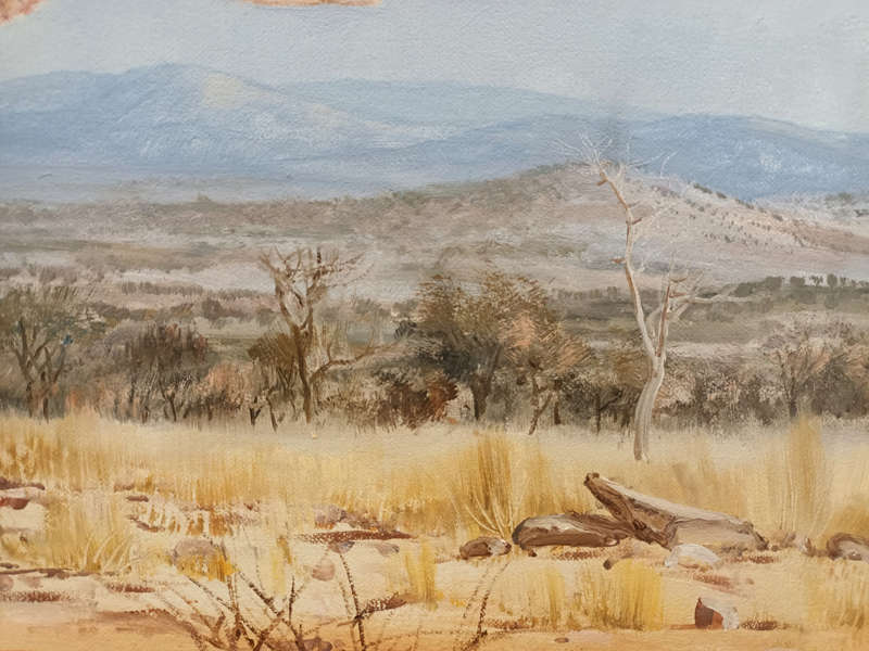 wim kosch wildlife art rhinos oil painting