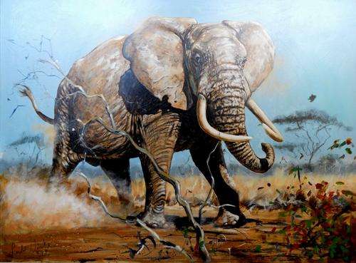 CLEARANCE SPECIAL !!!!!!!!! LUTE VINK !!!!!!!!!  OIL PAINTING    !!!!!!!! R32 000-00 !!!!!!