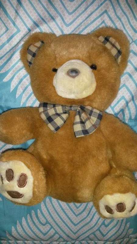 LARGE TEDDY BEAR H,,30CM,,TAG,,IMPORTED BY THE PROMOTIONAL COMPANY
