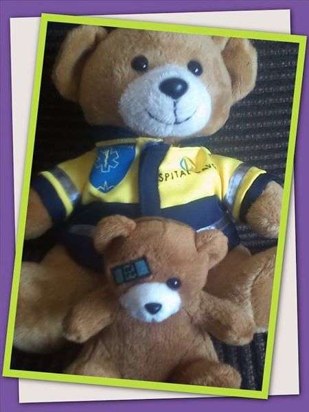 IMPORTED COLLECTABLE PARAMEDIC BEAR AND HIS PATIENT