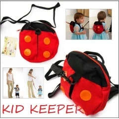 Safety Harness