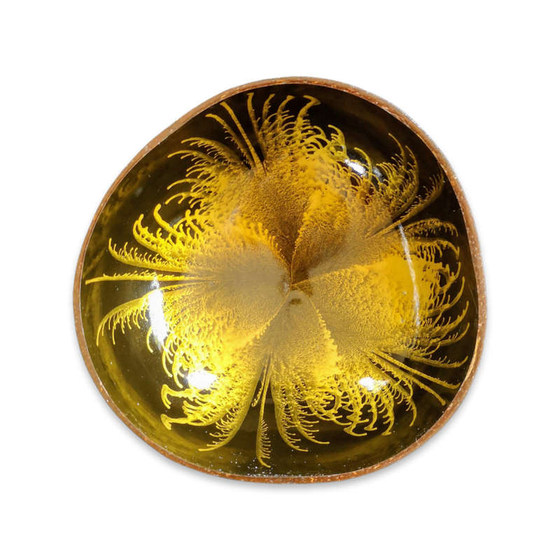 Handmade Painted Coconut Bowl - Black and Gold