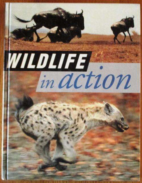 WILDLIFE in ACTION