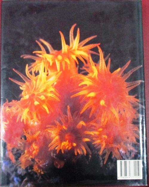 The Living Shores of Southern Africa - George & Margo Branch