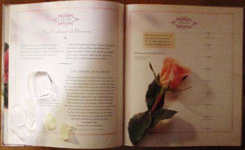 A BOUQUET of FLOWERS book of days; a spectacular feast of blossoms and blooms