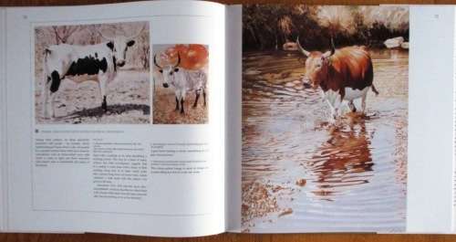 The Abundant Herds - Margeurite Poland