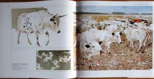 The Abundant Herds - Margeurite Poland