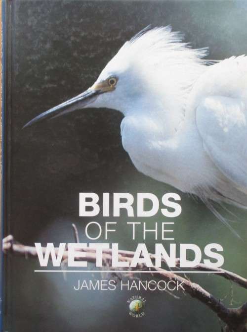 Birds of the Wetlands