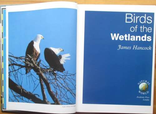 Birds of the Wetlands