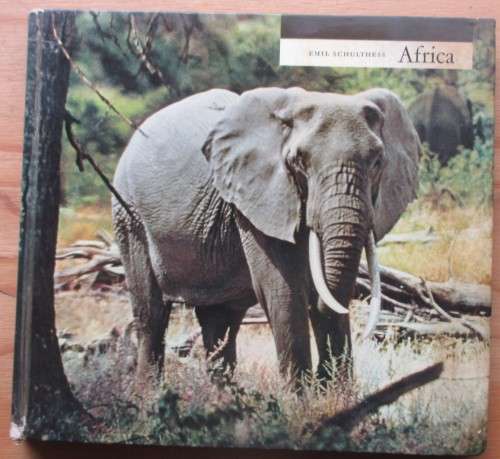 africa