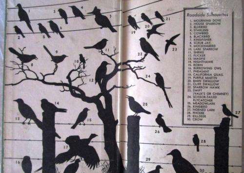 A Field Guide to Western Birds