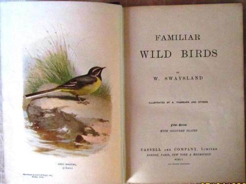 Familiar Wild Birds