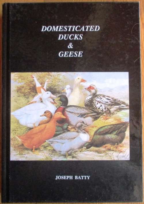Domesticated Ducks and Geese