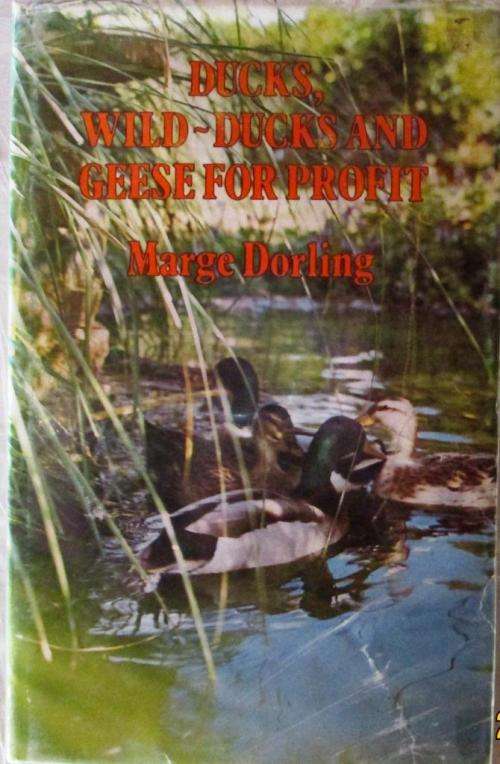 Ducks, Wild-Ducks and Geese for Profit