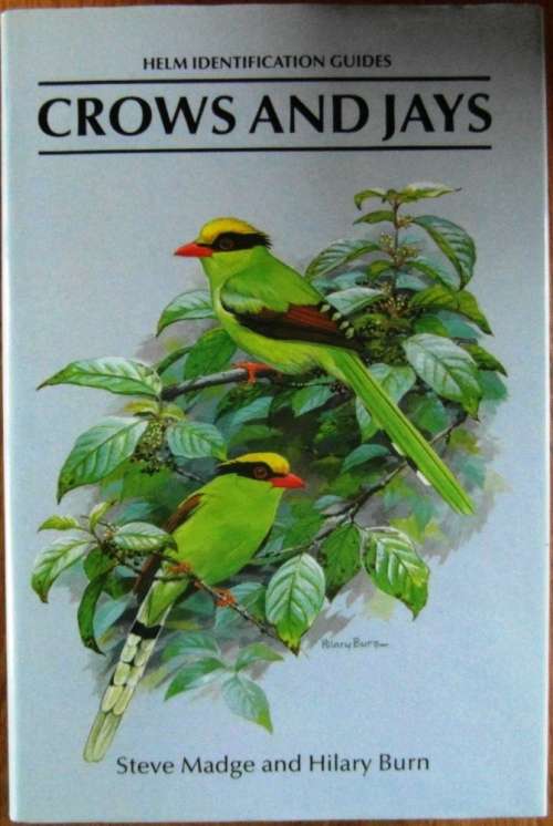 Crows and Jays : A Guide to the Crows, Jays and Magpies of the World