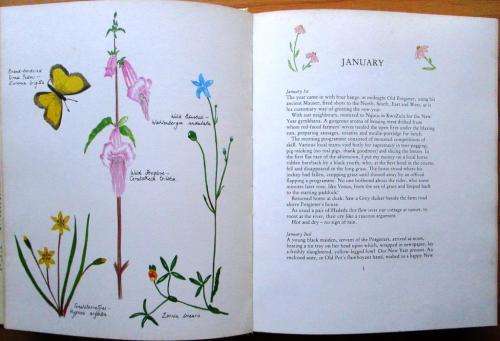 The Springing of the Year `A South African Country Diary`