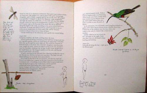 The Springing of the Year `A South African Country Diary`